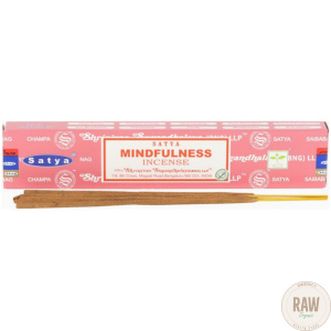 Satya  Mindfulness-suitsuke