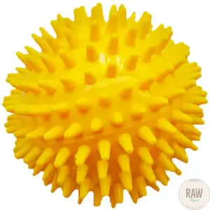 Spiky Ball | Massage Ball | Sensory Ball 8 cm - Yellow